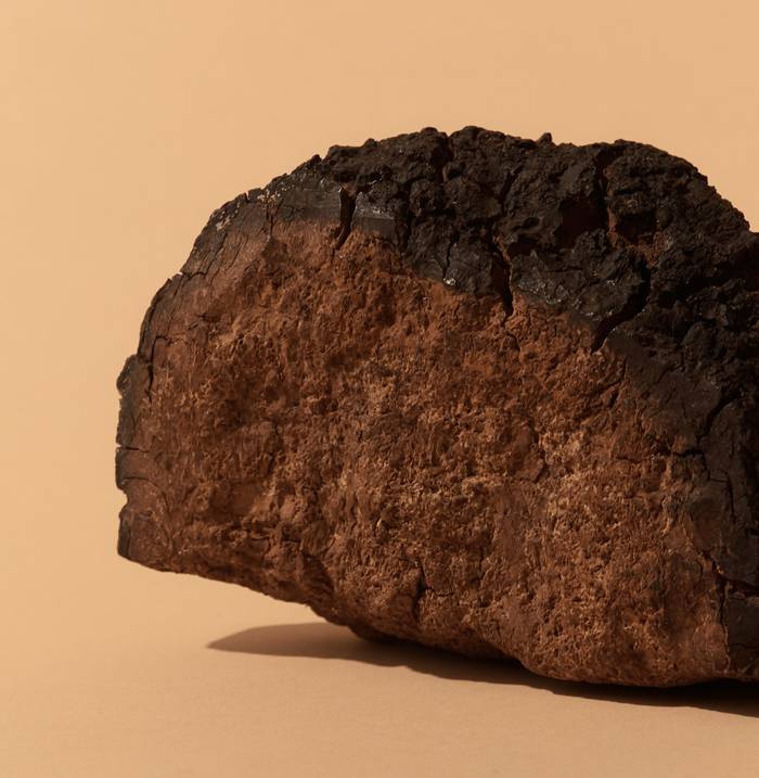 Chaga - 100g