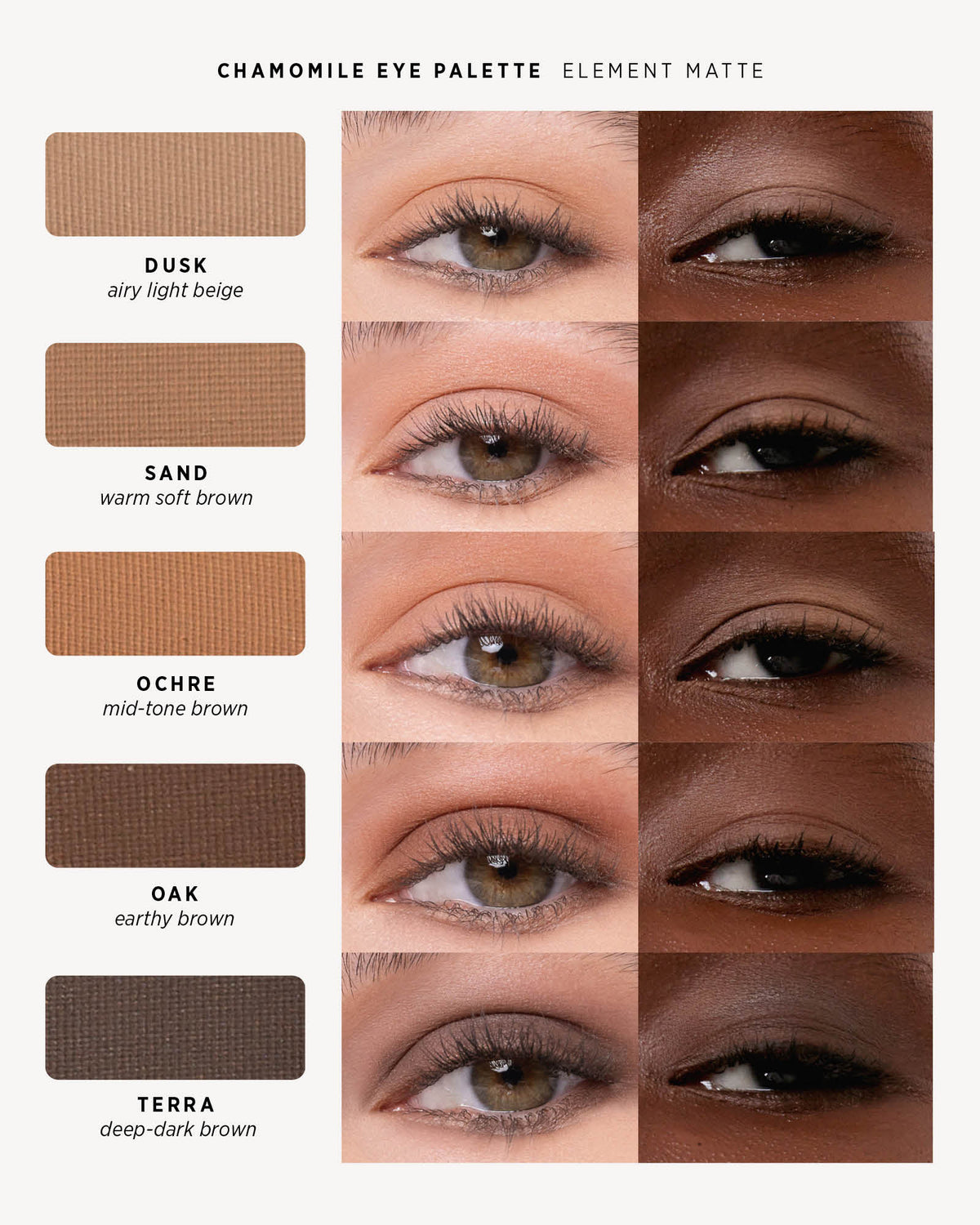 Chamomile Eye Palette - Mattes