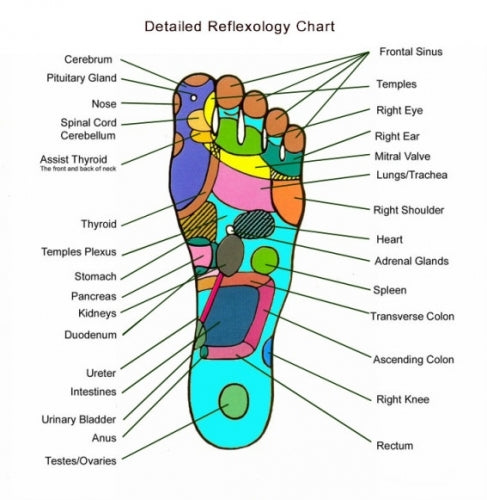 Detox Foot Patches - 7 Pairs