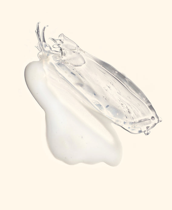 Fig All-beauty Jelly