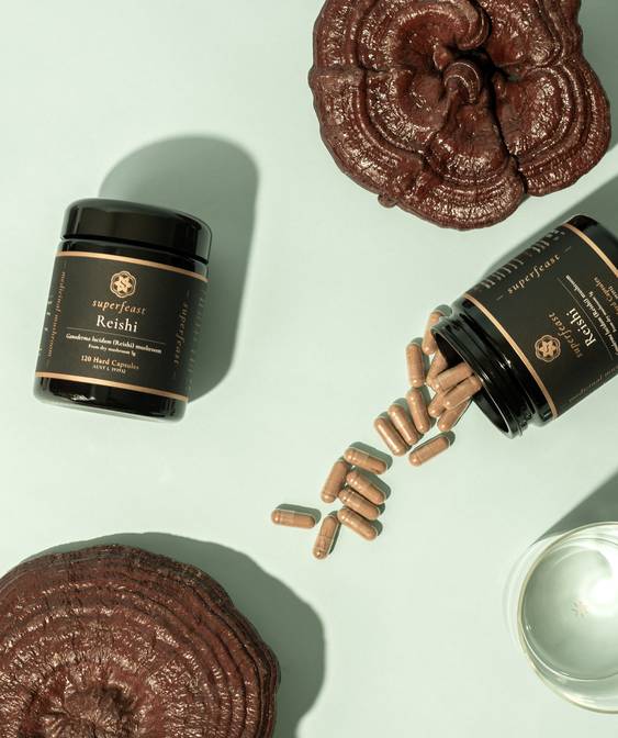 Reishi Capsules - 90 Hard Capsules