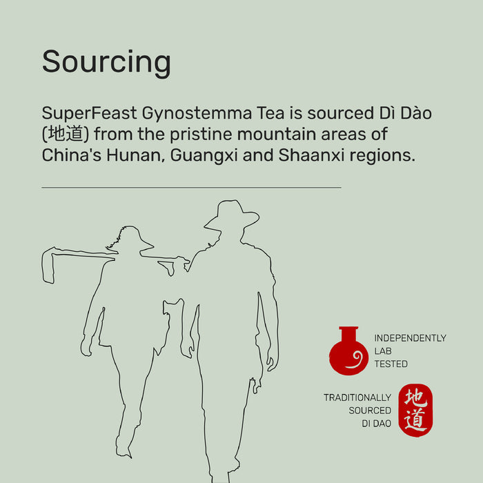 Gynostemma Tea - 50g Loose Leaf