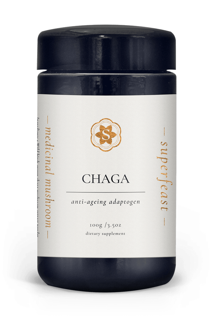 Chaga - 100g