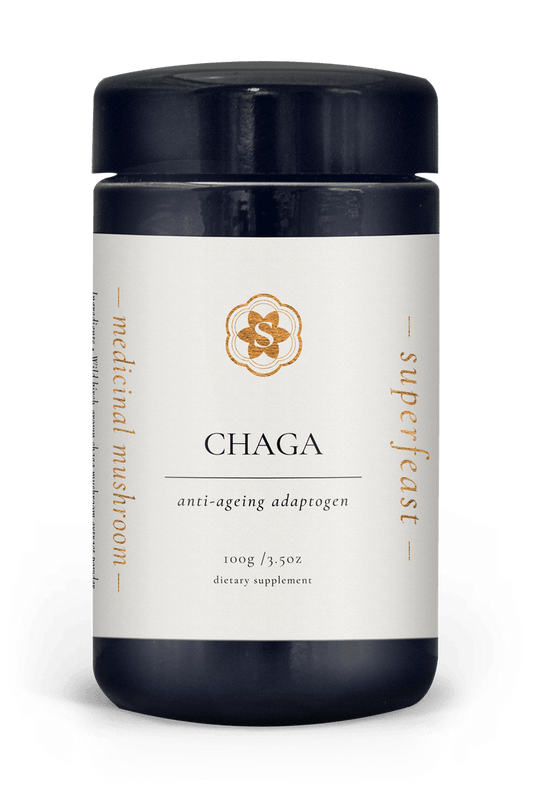 Chaga - 100g