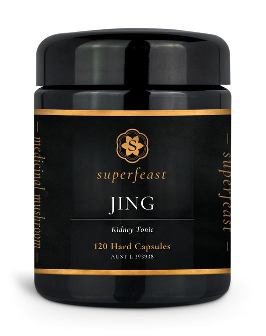 Jing Kidney Tonic - 120 Capsules