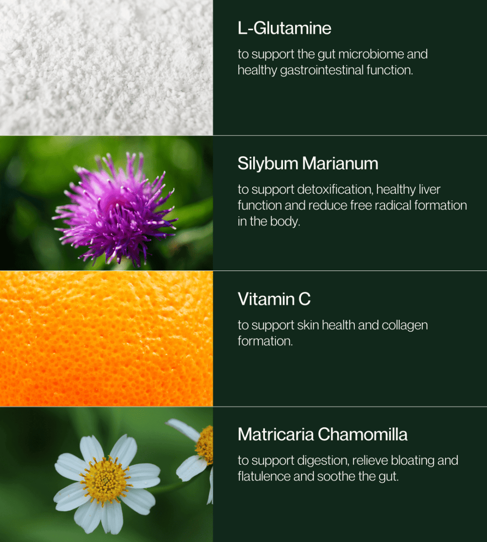 Inner Essentials Skin + Gut Renew