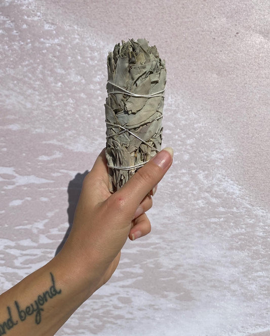 White Sage Smudge Stick - Medium